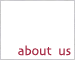about wild dog designs graphic design brisbane