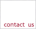 contact wild dog designs